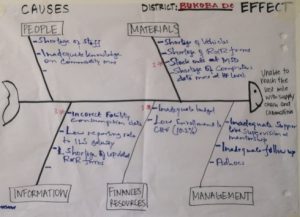 Sample fishbone diagram from MTUMA planning workshop