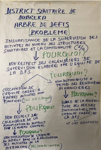 Completed problem tree for the Dubreka district team in Guinea