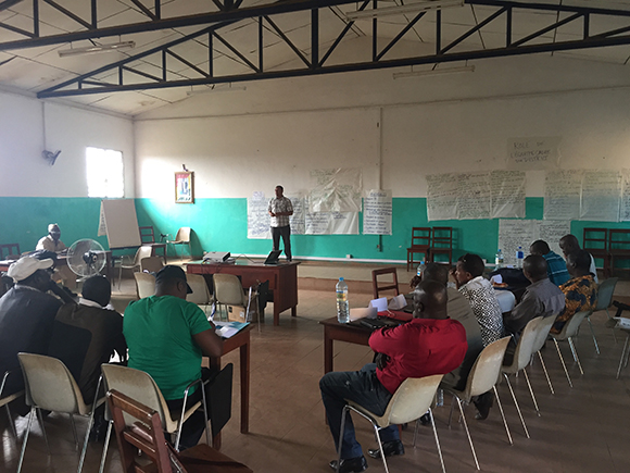 A district team member from Boké, Guinea, presents the team's problem tree in plenary during the workshop.