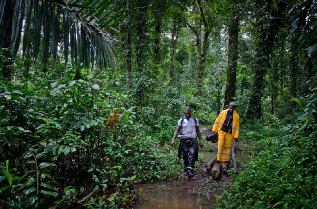 Collective Impact for Universal Coverage: Liberia's System on the Rise | Maternal Child Survival