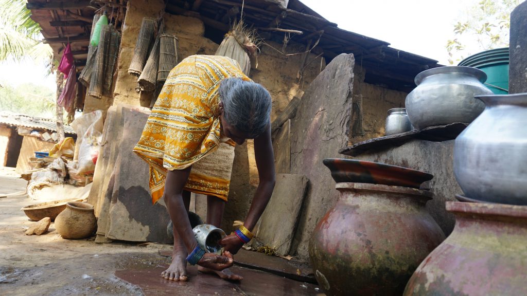 Baisakhi keeps busy with daily chores.